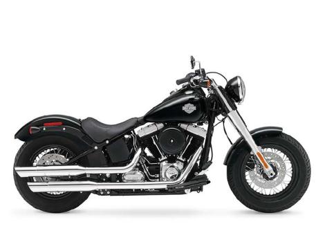 2014 Harley-Davidson Slim FLS