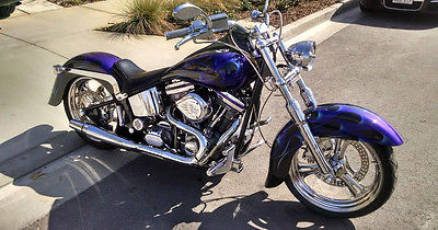 Custom Built Motorcycles : Pro Street Blue flames; Wide Rear Tire; Custom Paint; Billet Aluminum; Thunder Header