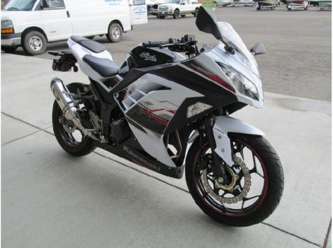 2014 Kawasaki Ninja 300 ABS SE