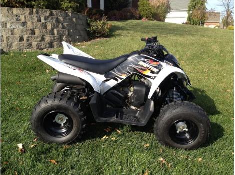 2009 Yamaha Raptor 90