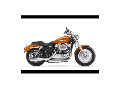 2015 Harley-Davidson XL1200C-Sportster 1200 Custom