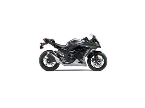 2015 Kawasaki Ninja 300 SE 300 SE