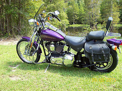 Harley-Davidson : Softail Harley Davidson 2001Softtail Springer FXSTS