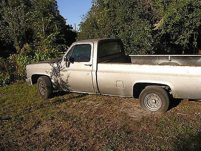 Chevrolet : C-10 C-10 Deluxe 1984 chevy c 10 pick up