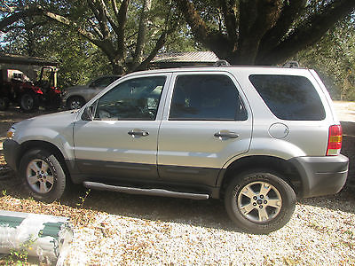 Ford : Escape XLT Sport Utility 4-Door 2007 ford escape xlt sport utility 4 door 2.3 l