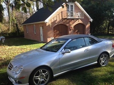 Mercedes-Benz : CLK-Class 2009 silver on gray clk 550 convertible with amg package keyless go