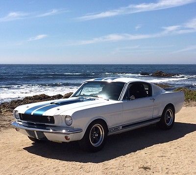 Ford : Mustang Fastback GT350 1965 ford mustang gt 350 tribute