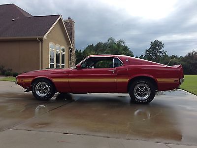 Ford : Mustang 1969 mustang shelby gt 500