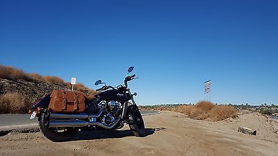 Indian : Scout 2015 indian scout