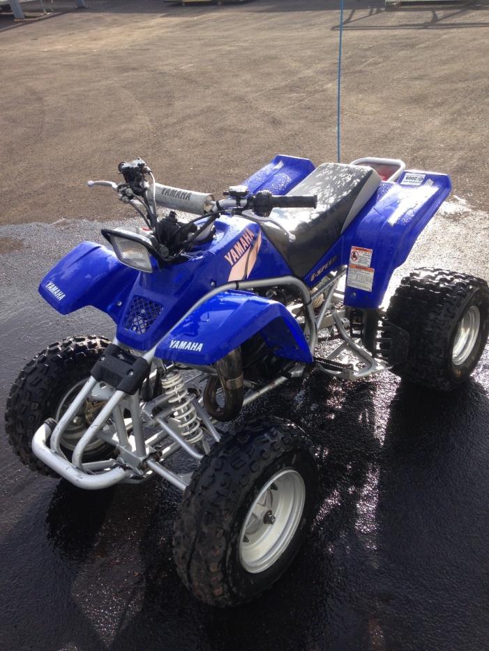 2005 Yamaha Raptor 660