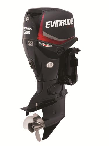 2015 EVINRUDE E65GL Pontoon Engine and Engine Accessories