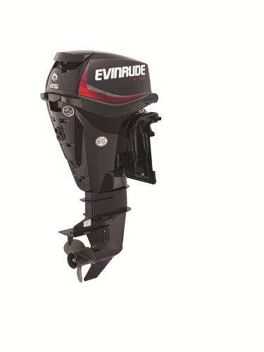 2015 EVINRUDE E25DPGL Engine and Engine Accessories
