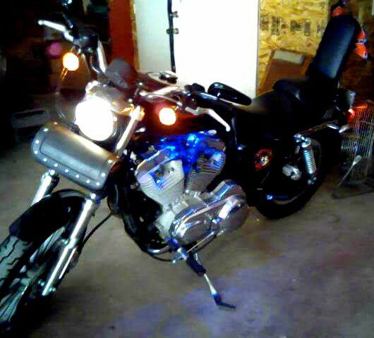 2006 Harley Davidson 883 sportster