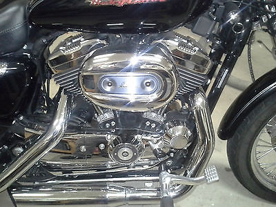 Harley-Davidson : Sportster 2005 harley davidson sportster 1200 costom