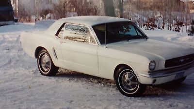 Ford : Mustang 1964 1 2 ford mustang 5 000