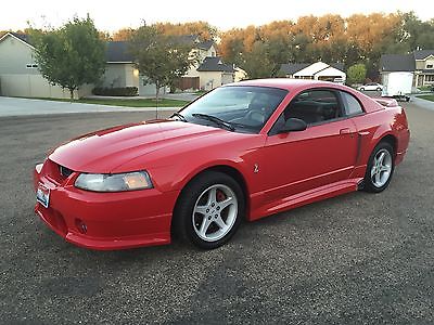 Ford : Mustang SVT Cobra Coupe 2-Door 1999 ford mustang svt cobra coupe 2 door 4.6 l
