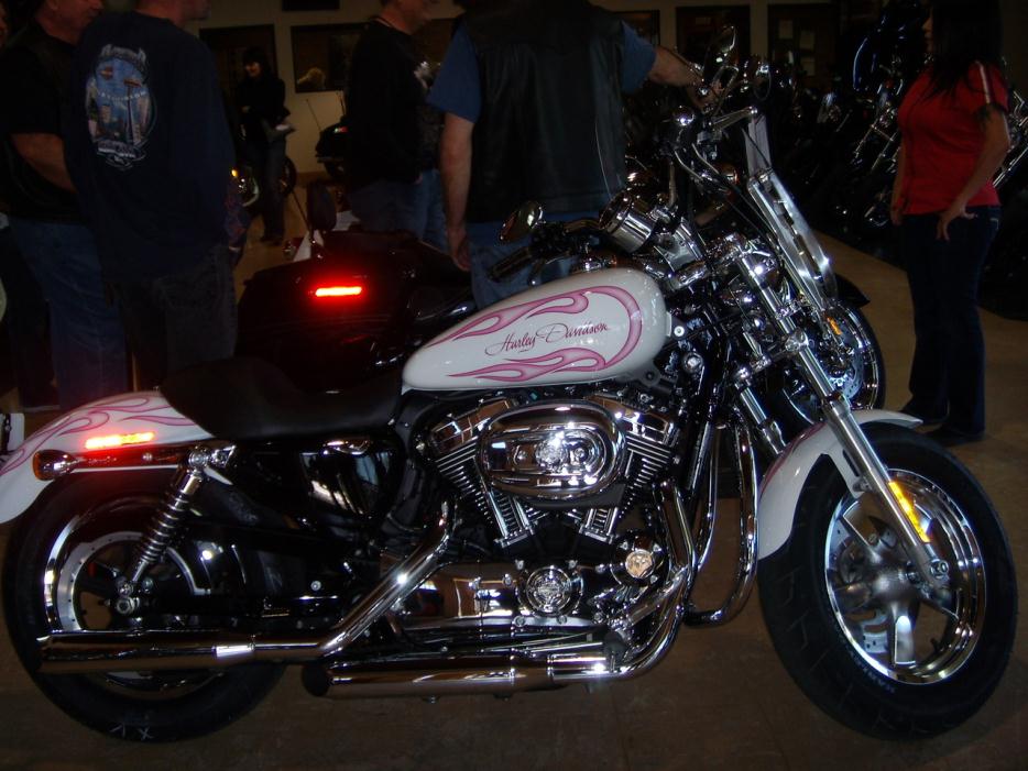 2010 Harley-Davidson Street Glide SPECIAL