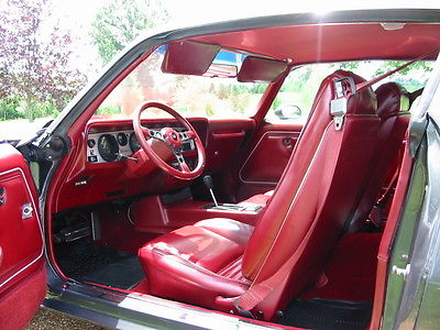 Pontiac : Trans Am 1980 trans am turbo 2 door coup
