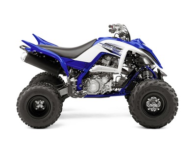 2016 Yamaha Grizzly EPS LE