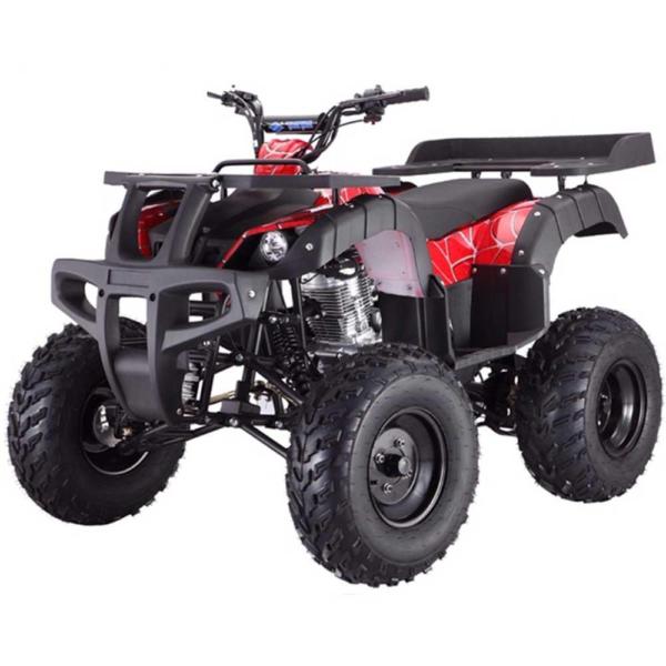 Rhino ATV