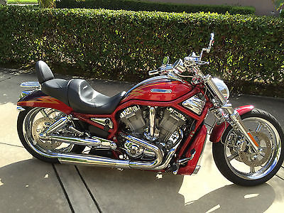 Harley-Davidson : VRSC 2005 harley davidson vrscse screamin eagle vrod 1250 cc mint