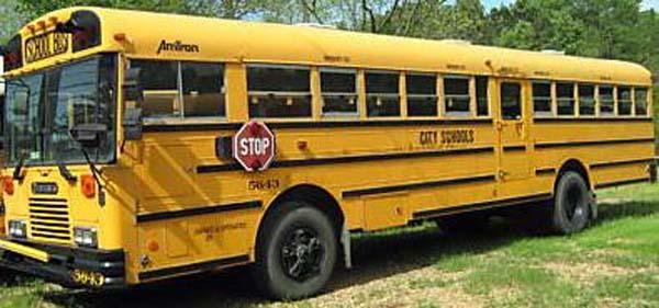 looking for School Bus