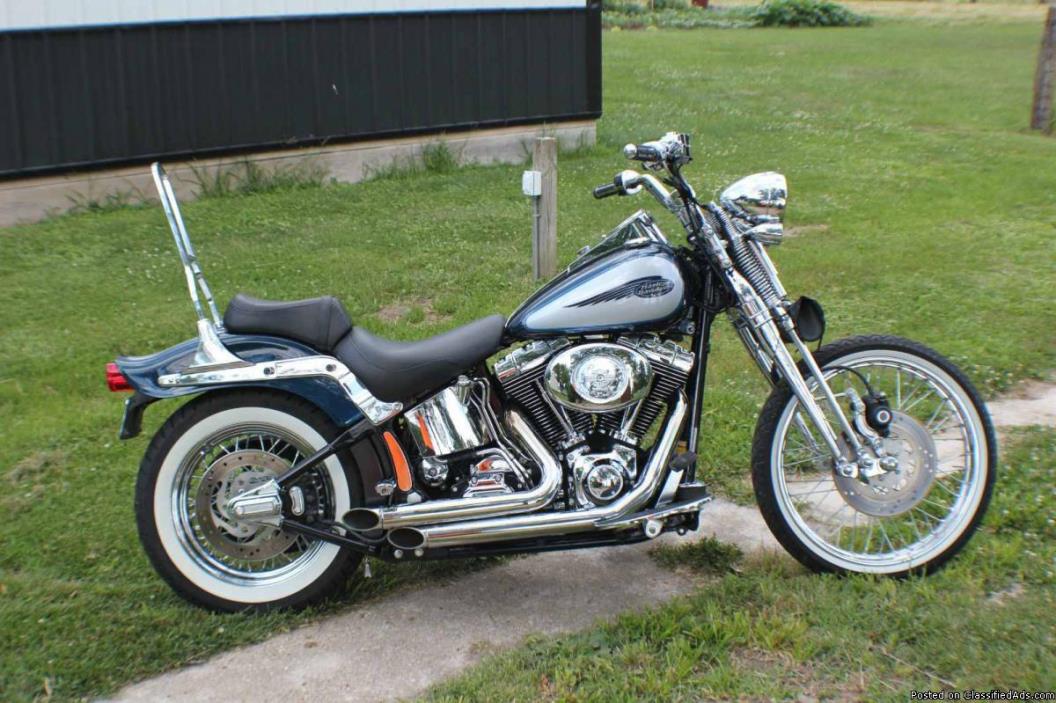 2002 Harley-Davidson Softail FXSTS