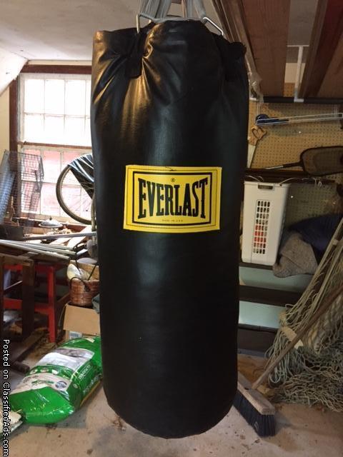 Everlast Punching Bag, 0