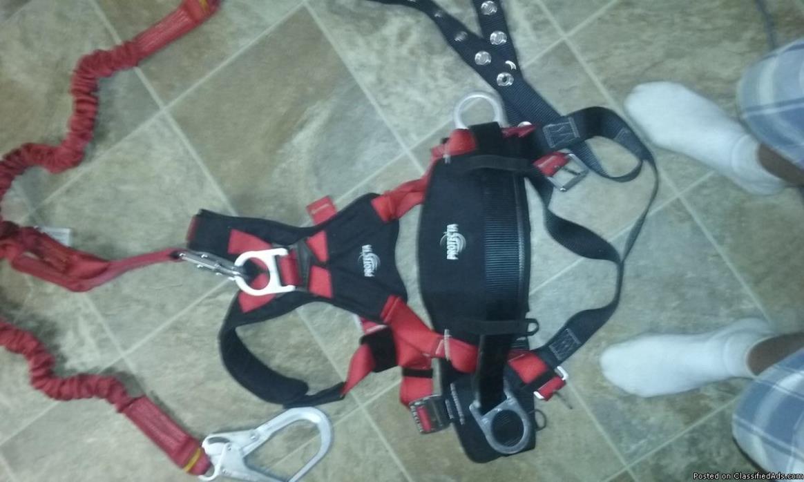 Safety harness and lanyard