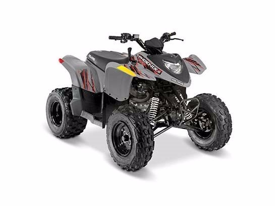 2017 Polaris Phoenix 200