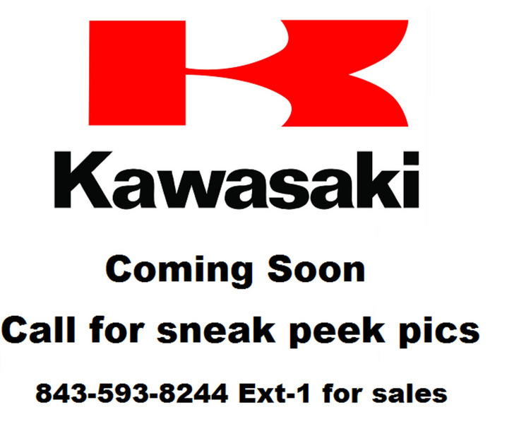 2014 Kawasaki KLX110