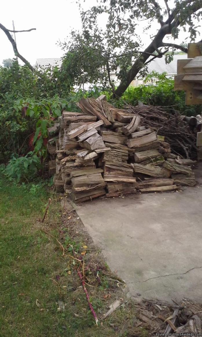 3 1/2 Cords of Firewood, 1