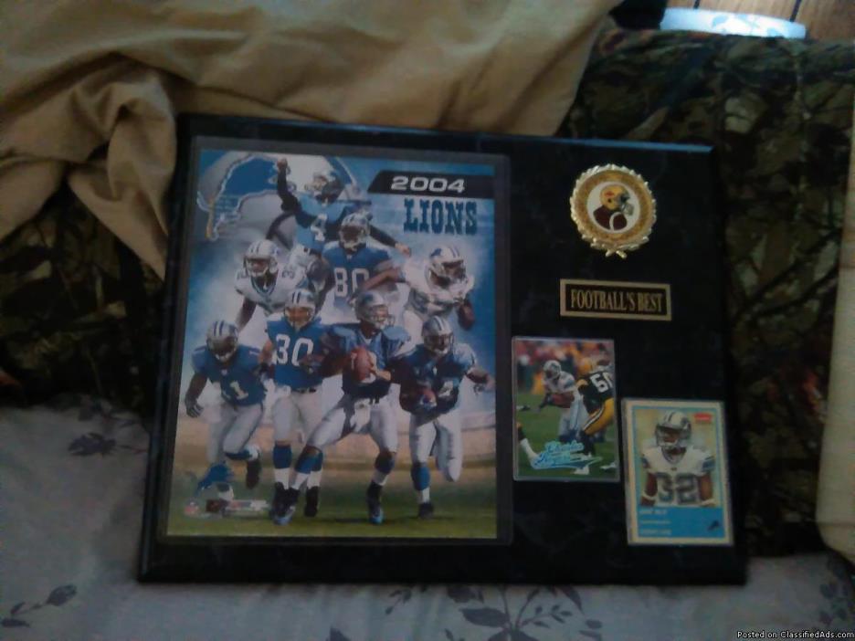 2004 Lions Football Picture, 0