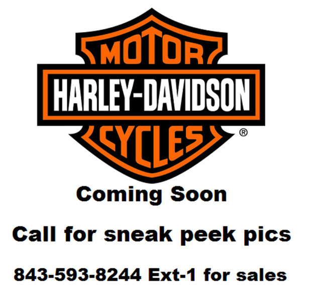 2014 Harley-Davidson FLHXS - Street Glide Special