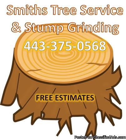 Stump Grinding & Tree Service