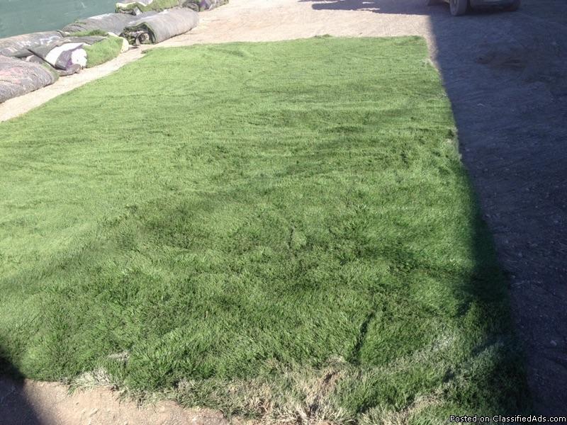 Everything Must Go On This Huge Artificial Grass Sale!!!, 1