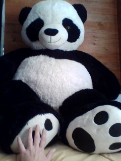 Kung-Fu Like Huge Stuffed Panda