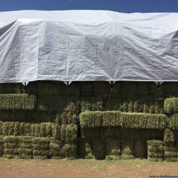 Great horse hay for sale, 0