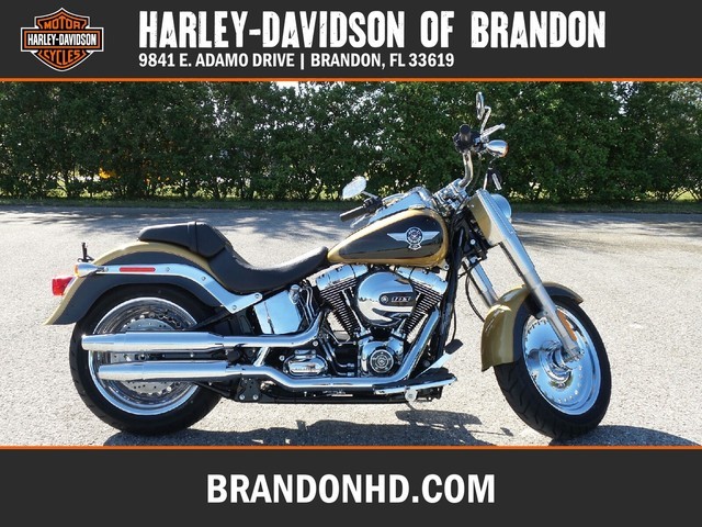 2009 Harley Davidson Ultra Classic