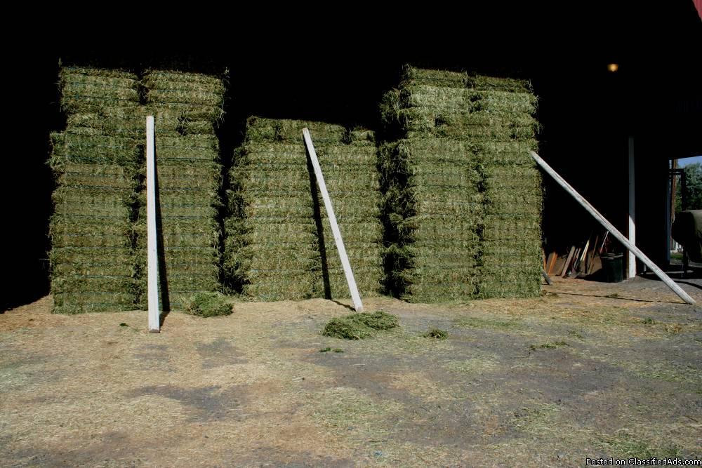 Nice Alfalfa 2 tie hay for sale, 1
