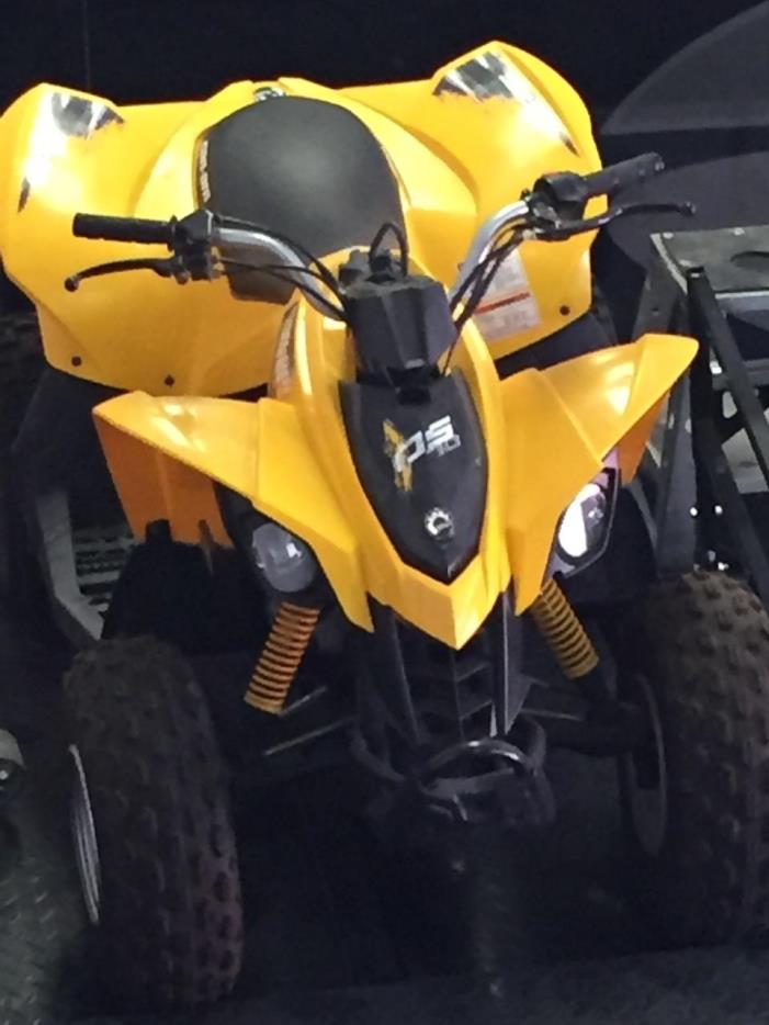 2011 Can-Am DS 70