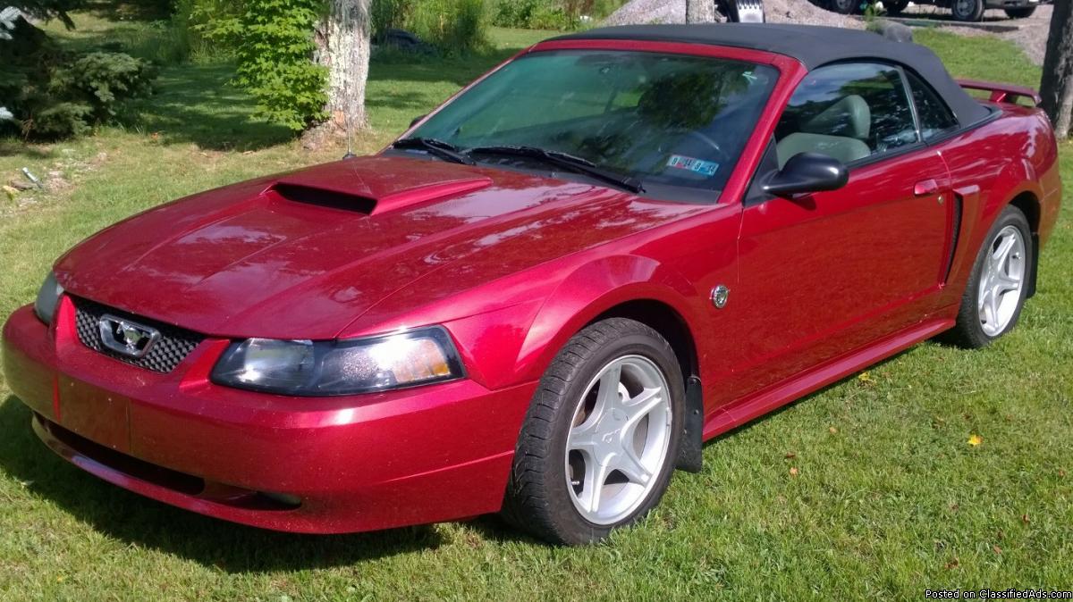 2004 Mustang 40th Anniversary Cars for sale