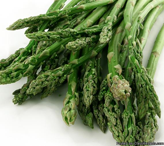 Asparagus Plants, 0