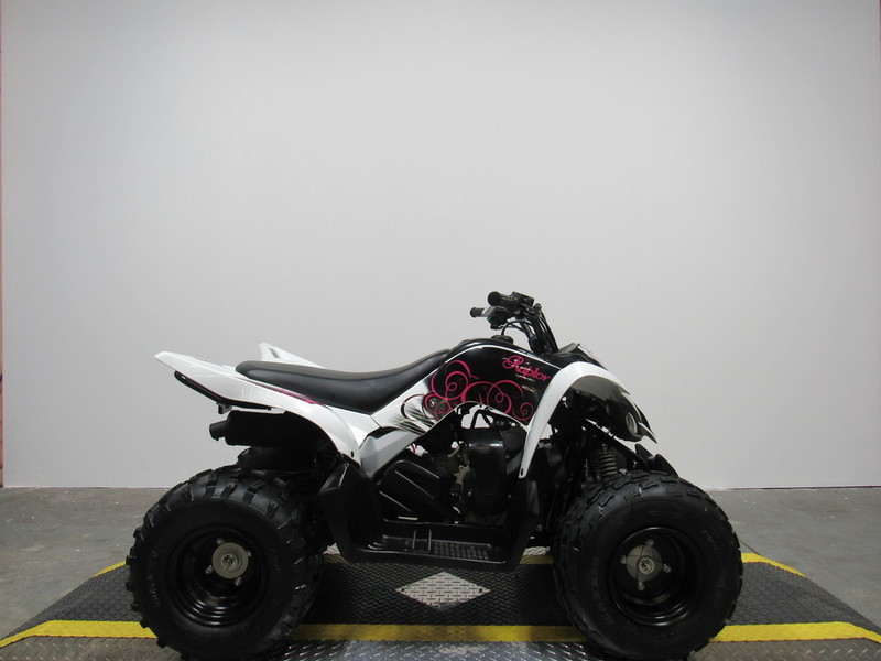 2013 Yamaha Raptor 90