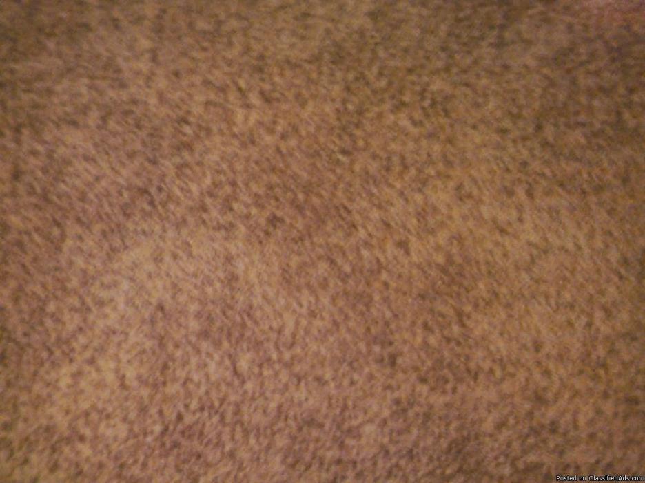 New Shag Carpet
