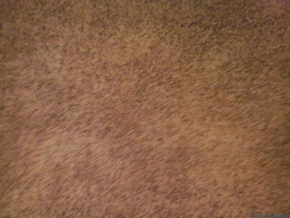 New Shag Carpet, 1