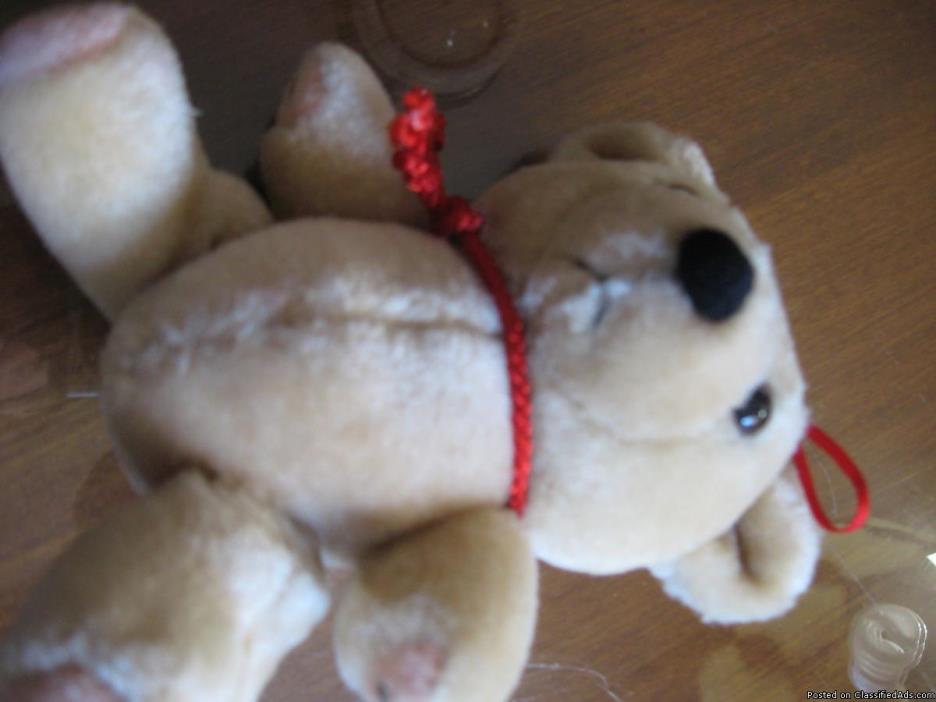 Stuffed Bear, 0