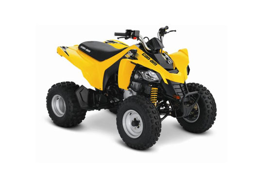 2017 Can-Am DS - 250
