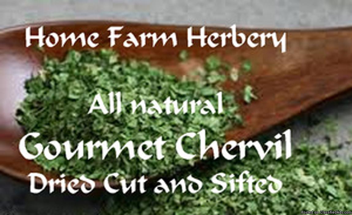 Special LIMITED TIME Sale for Chervil Buy 1 oz. and get 1 oz. FREE, 0