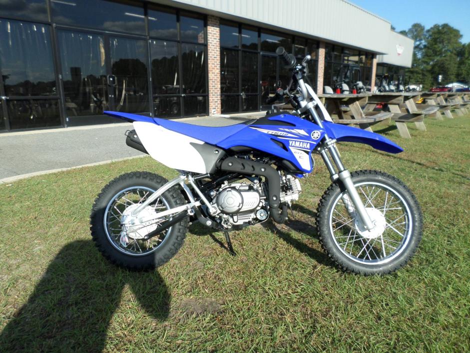 2017  Yamaha  ttr110